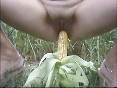 金伯利盖茨